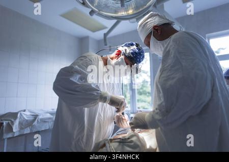 Operation im Gange: Ein Team aus zwei Chirurgen führt eine Prozedur in einem sterilen Krankenhaus-Operationssaal unter intensivem Licht durch, einer verwendet Lupen professionell n Stockfoto