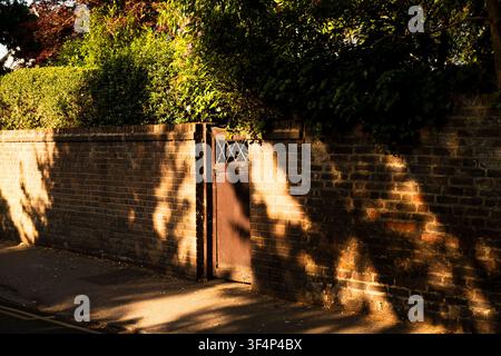 Holztür im Garten in einer Ziegelmauer mit Baumschatten im warmen Sonnenlicht. Stockfoto