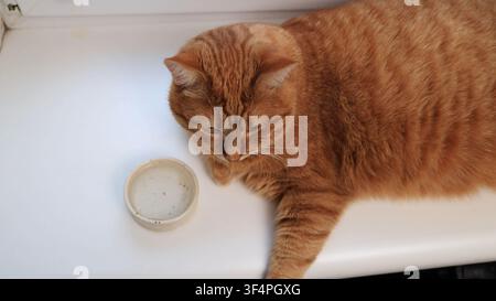 Foto Stockfoto