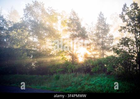 Magischer Morgen mit starken Sonnenstrahlen. Starker Nebel vom Meer unten. Stockfoto
