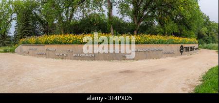 Mehrsprachige „Willkommen“-Wand und Schwarzäugchen-Blumenbeet am Eingang von The Leaf, Winnipeg Stockfoto