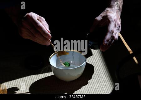 Meister der Zeremonie gießt Matcha-Tee in eine Chawan-Schale. Chanoyu oder Teezeremonie. Stockfoto