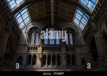 Architektonisches Innendetail des Naturhistorischen Museums mit Buntglasfenstern, Bögen und gewölbtem Dach in London, England. Stockfoto