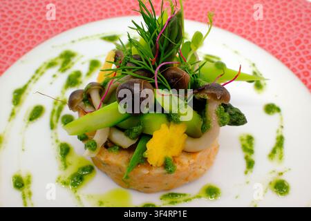 Ein elegantes Lachs-Tartare mit einer Purée, die mit Spargel, Pilzen und grünen Sprossen belegt ist, garniert mit einer grünen Sauce und gelben Akzenten auf einem w Stockfoto