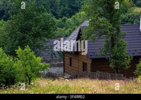 Holzhaus mit dunklem Dach schmiegt sich in eine blumige Wiese am Rande eines Waldes, verwitterte Zaunpfosten und Bäume rahmen einen ruhigen ländlichen Rückzugsort in sanftem Licht Stockfoto