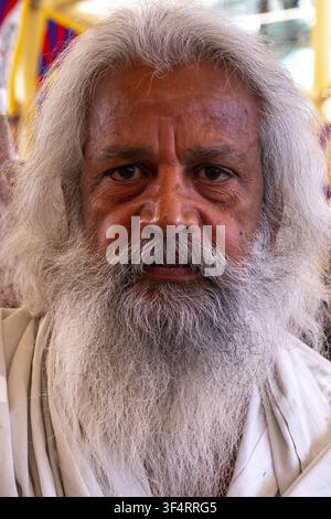 Porträt eines älteren Mannes mit einem langen weißen Bart und weißem Haar, in Dharamsala, Himachal Pradesh, Indien Stockfoto