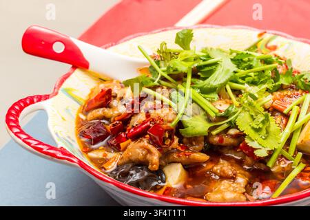 Scharfes chinesisches Kung-Pao-Huhn-Gericht, garniert mit frischem Koriander Stockfoto