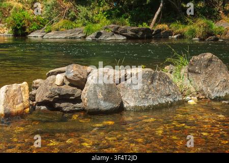 Nahaufnahme eines flachen, transparenten Flusses, der Kieselsteine auf dem Grund zeigt, mit einer Reihe großer grauer Steine im Wasser. Stockfoto