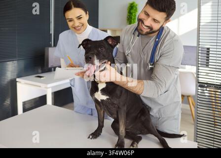 Tierarzt untersucht glücklichen Hund mit Krankenschwester in moderner Tierklinik-Innenausstattung Stockfoto