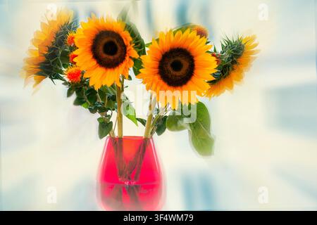 KONTEMPORÄNE KUNST: „Blumen in einer roten Vase“ von Edmund Nagele FRPS (Gemeine Sonnenblumen lat: helianthus annuus) Stockfoto