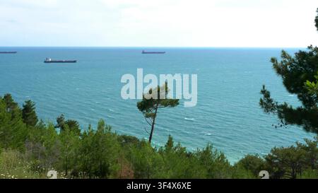 Küstenlandschaft mit Meeresufer und Bäumen, die auf entfernte Frachtschiffe blicken, die am Horizont unter einem klaren Himmel vor Anker liegen. Stockfoto