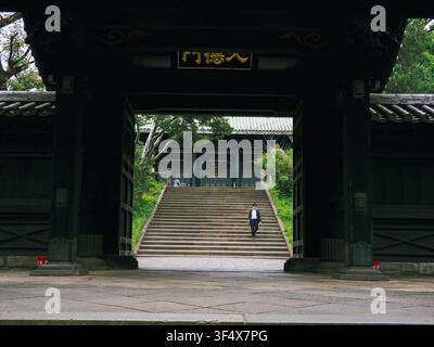 Person, die steinerne Stufen durch das Nyutokumon-Tor am Yushima-Seido-Konfuzius-Tempel an einem bewölkten Abend in Tokio hinaufsteigt Stockfoto