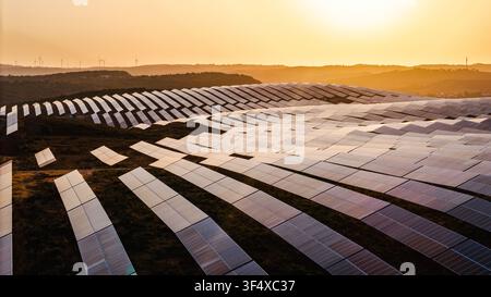 Luftbild von ausgedehnten Photovoltaik-Panel-Arrays über sanfte Hügel, die von warmem Abendlicht beleuchtet werden. Stockfoto