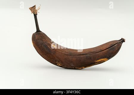Eine Banane liegt auf einer schlichten weißen Oberfläche. Die Banane zeigt Anzeichen der Reife mit einer dunkelbraunen Farbe und einigen Flecken. Diese einfache Szenerie hebt hervor Stockfoto