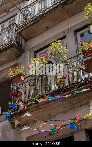 Blumengefüllte Eisenbalkone mit Festschmuck an einer alten Granitfassade, Porto, Portugal Stockfoto