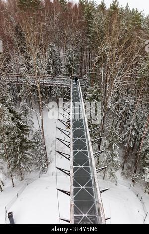 Blick auf den Baumkronenweg, umgeben von schneebedeckten Kiefern, mit einer Person, die auf dem Metallsteg in Anyksciai, Utenos apskritis, Litauen steht Stockfoto