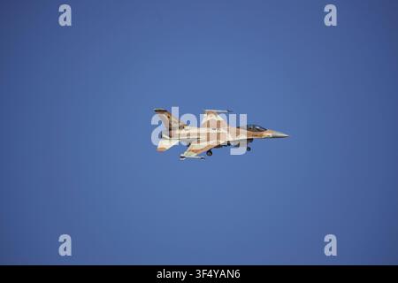 Top Aces F-16 Fighting Falcon Militärjet fliegt während der Red Flag-Übung auf der Nellis Air Force Base, Nevada, USA, am 11. März 2024. Stockfoto