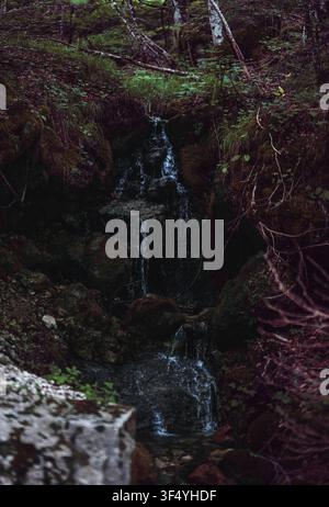 Blick auf einen kleinen Wasserfall, der über moosige Felsen in dem üppigen Wald des Nationalparks Abruzzo in Pescasseroli, Abruzzo, Italien, stürzt Stockfoto