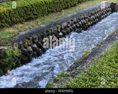 Klares Wasser fließt durch einen steingefassten Kanal. Sanfte Stromschnellen spritzen gegen moosige Felsen. Üppige grüne Hecken säumen den fließenden Bach. Natürliche Szenerie Stockfoto