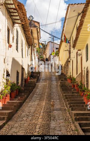 Cusco, Peru - 26. Juni 2026: Blick auf eine historische Kopfsteinpflasterstraße in San Blas, gesäumt von weißen Kolonialgebäuden, Topfpflanzen und spazierenden Menschen Stockfoto