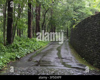 Nasser Kopfsteinpflasterweg windet sich durch einen üppigen grünen Wald. Regentropfen glitzern auf dem Stein und dem belaubten Boden. Eine alte Steinmauer säumt eine Seite des Weges. Baum Stockfoto
