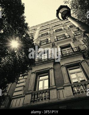 Beleuchte einen Baum in Madrid Stockfoto