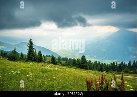 Weite Panoramablick über das Inntal nahe Achensee in Tirol, Österreich. Der Vordergrund zeigt eine üppige alpine Wiese mit Wildblumen und Nadelbäumen Stockfoto