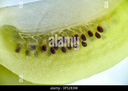 Detaillierte Makroaufnahme einer frischen grünen Kiwischeibe, die die komplexe Innentextur, das durchscheinende Fruchtfleisch und die kleinen dunklen essbaren Samen hervorhebt Stockfoto
