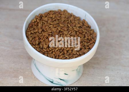 Trockenfutter für Katzen in erhöhter weißer Keramikschüssel serviert. Gesunde Tierernährung und Trockenfutterportion für Hauskatzen Stockfoto