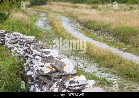 Grüne Seitenstraße durch die Wiese Stockfoto