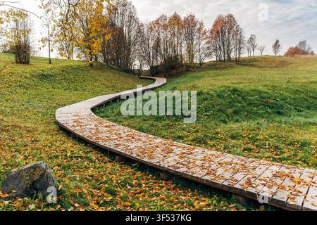 Holzsteg windet sich durch eine Herbstlandschaft Stockfoto