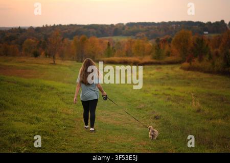 Teenager führt einen flauschigen Shih Tzu-Welpen auf einem Feld bei Sonnenuntergang aus Stockfoto