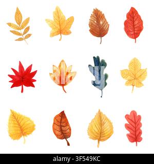 Satz von Herbstblättern im Aquarellstil auf weißem Hintergrund Stockfoto