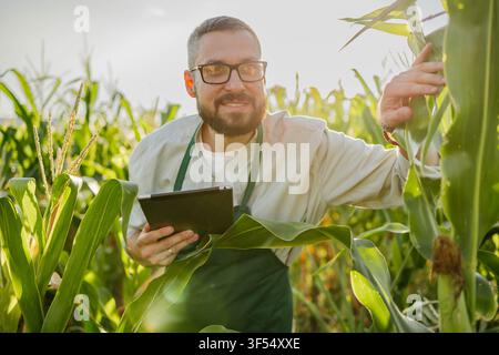 Bauer im Maisfeld mit Tablet Stockfoto