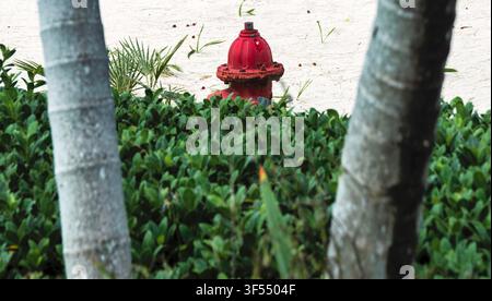 Ein traditioneller roter, metallener Feuerhydrant, der an einem sandigen Strand steht, p Stockfoto