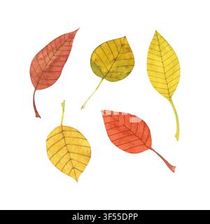 Ein Satz Aquarellillustrationen von Herbstblättern Stockfoto