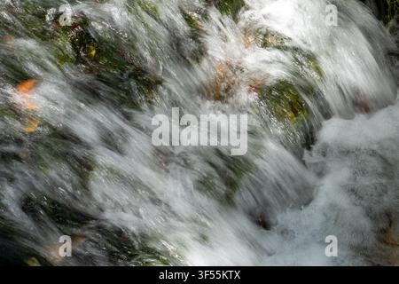 Nahaufnahme von schnell fließendem Wasser, das über moosbedeckte Felsen in einem Waldbach stürzt. Stockfoto