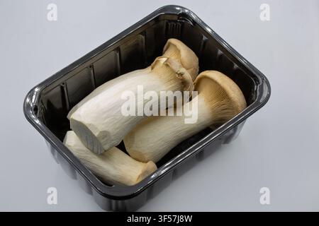 Frische King-Oyster-Pilze in einer schwarzen Plastikschale auf hellem Hintergrund. Studio-Makroaufnahme von rohen Eryngii-Pilzen, Gourmet-Lebensmittel-Zutat, Groce Stockfoto