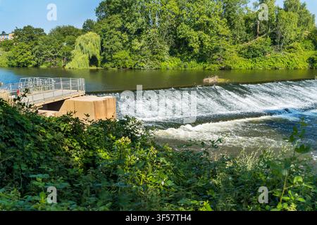 Entlang des Flusses Severn, neben der Diglis-Insel und dem Fish Pass, knapp außerhalb der historischen Kathedralstadt, an einem herrlichen heißen Sommertag am späten Nachmittag Stockfoto