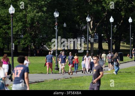 Besucher schreiten einen von Bäumen gesäumten Weg entlang im Boston Common, Boston, Massachusetts. Stockfoto