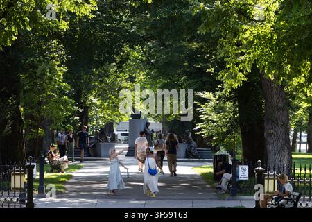 Besucher schlendern unter alten Bäumen in der Commonwealth Avenue Mall in Boston, Massachusetts. Stockfoto