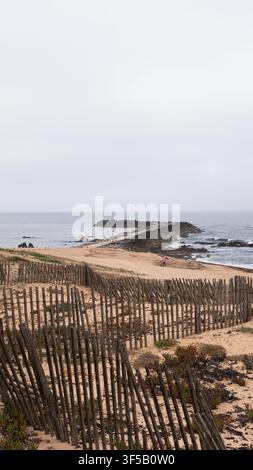Verwittertes hölzernes Dünenzaun und Dünenvegetation über einem Strand mit Felsbrecher und Leuchtturm unter bewölktem Himmel, Atlantikküste, Portugal Stockfoto