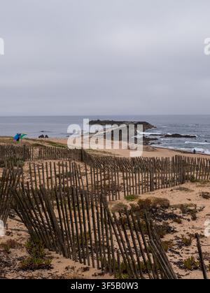 Verwittertes hölzernes Dünenzaun und Dünenvegetation über einem Strand mit Felsbrecher und Leuchtturm unter bewölktem Himmel, Atlantikküste, Portugal Stockfoto