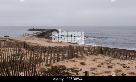 Verwittertes hölzernes Dünenzaun und Dünenvegetation über einem Strand mit Felsbrecher und Leuchtturm unter bewölktem Himmel, Atlantikküste, Portugal Stockfoto