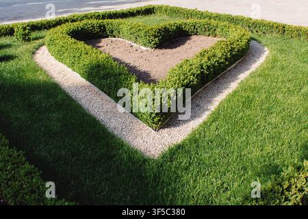 Herzförmige grüne Hecke in einer Gartengestaltung mit dekorativem weißem Kiesrand an einem sonnigen Nachmittag. Romantisches Landschaftsdesign, sorgfältig gepflegte Topfarchitektur, Sommer-Gartenpflege im Hinterhof Stockfoto