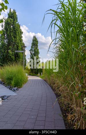 Wundender gepflasterter Gehweg, umgeben von hohen Ziergräsern und Bäumen unter einem bewölkten Himmel in Coesfeld, Deutschland Stockfoto
