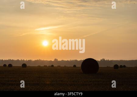 Goldener Sonnenaufgang über einer abgeernteten Weizenfeld mit runden Heuballen Stockfoto