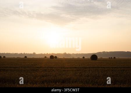 Goldener Sonnenaufgang über einer abgeernteten Weizenfeld mit runden Heuballen Stockfoto