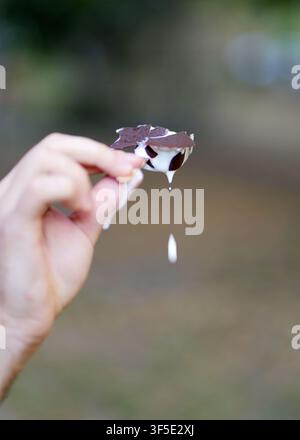 Hand, die eine köstliche Vanilleeisriege mit Schokoladenüberzug hält, die an einem warmen Tag im Freien schnell schmilzt und heruntertropft, wodurch ein klebriger süßer Stockfoto