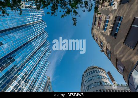 Reflektierende blaue Glas-Hochhäuser mit gebogenen zylindrischen Türmen erheben sich in einen klaren Himmel im Stadtzentrum von Zagreb, eingerahmt von Baumästen und Sonnenlicht Stockfoto